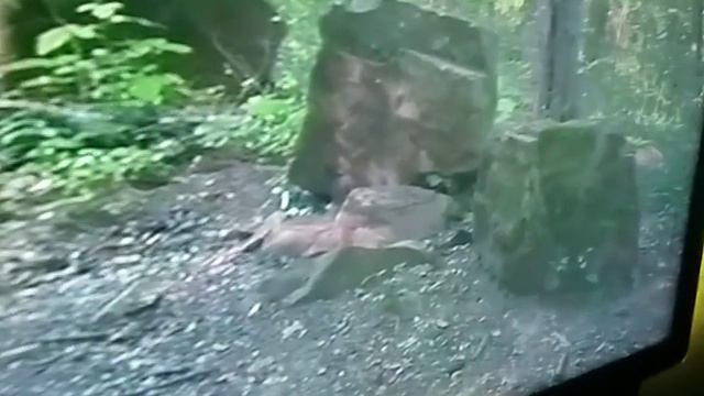 Бытха Дольмены смотреть онлайн