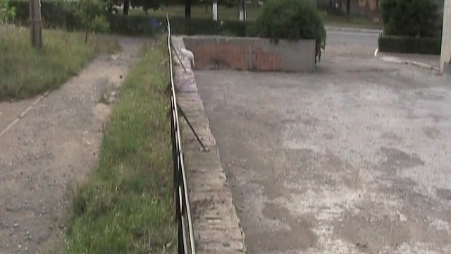 Донбасс - КАЛИНУШКА смотреть онлайн