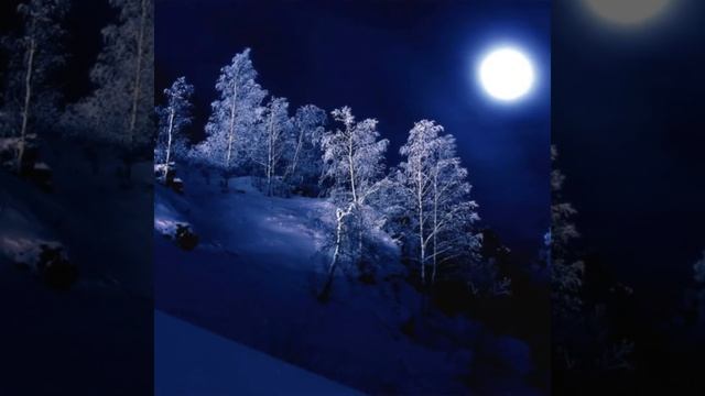 Николай Киселев .,,Моя РОДИНА РОССИЯ."#родина #авторскаяпесня #авторскаяпесняподгитару # смотреть онлайн