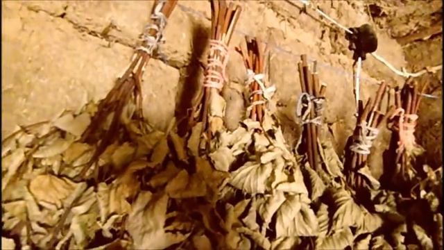 Как сделать веник для бани или сауны смотреть онлайн