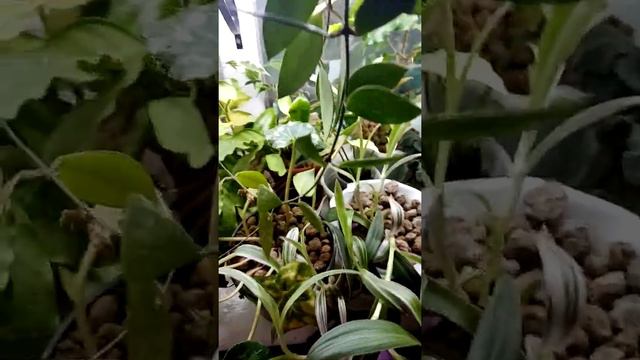 Продолжение смотреть онлайн