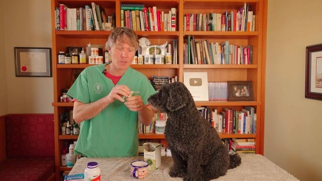 Acid Reflux in Dogs смотреть онлайн