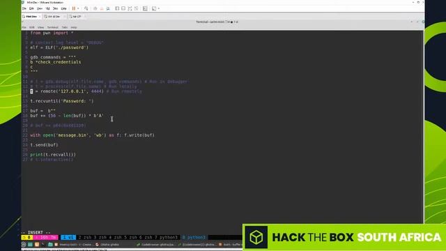 0x05 - Intro to Stack Buffer Overflow Exploitation смотреть онлайн