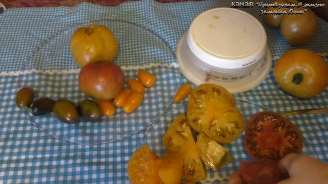 Сравнительная дегустация томатов Атомный виноград,Улуро охра,Борония,Пол. зебра,Юбил. Тарасенко,Ода смотреть онлайн