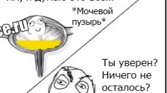 мачавой пузырь перед сном! смотреть онлайн