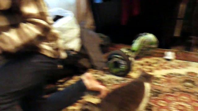 Как подключить ТВ приставку к старому телевизору? Подробности и хитрости подключения смотреть онлайн