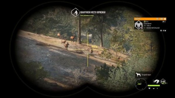 theHunter Call of the Wild #1 ? - ОХОТА НА ФАЗАНОВ С СОБАКОЙ - Охота в Пустыне (2021)