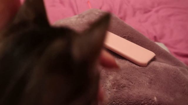 VLOG Серёжа мучает откосы. Симка сходит с ума. У Назара новый инцидент в школе смотреть онлайн