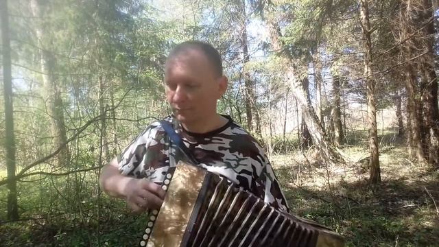 Тест для Авито. Гармонь "В-Волоцкая". смотреть онлайн