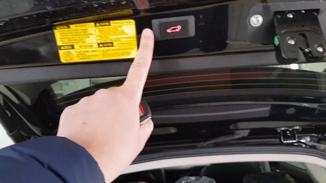 Комнатные творения