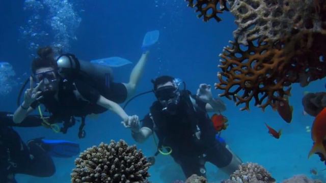 Flute. Egypt./Флейта. Египет. #flute #egypt