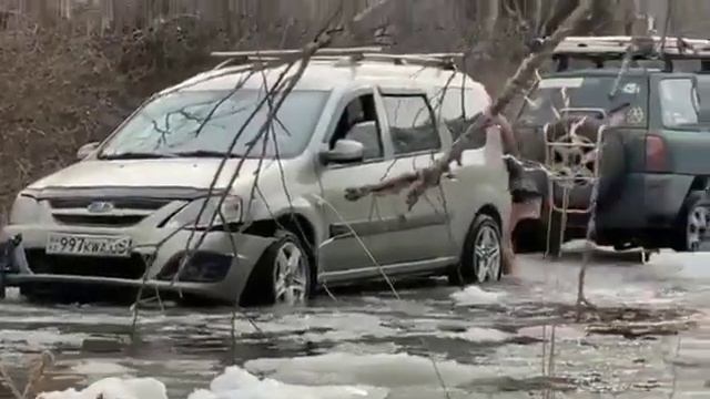 Наши пройти мимо не могут! Спасибо за помощь!✌😎🤘 смотреть онлайн
