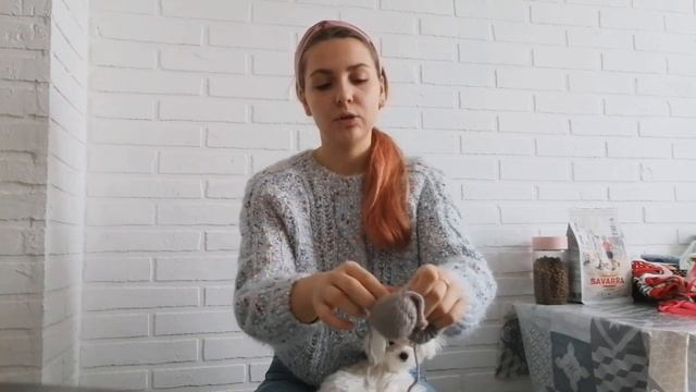 ПОКУПКИ С АЛИЭКСПРЕСС ДЛЯ СОБАКИ/МАЛЬТИЙСКАЯ БОЛОНКА/МАЛЬТЕЗЕ смотреть онлайн