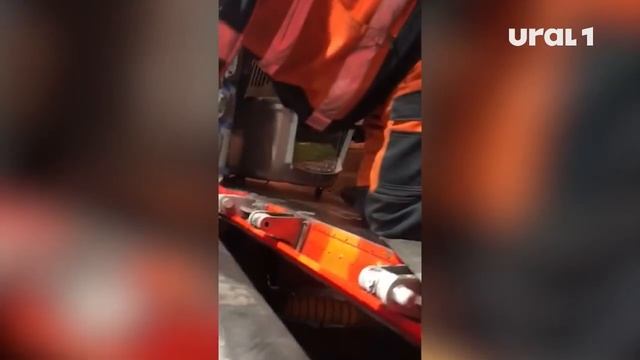 Карену Даллакяну удалось вытащить львёнка Симбу с того света смотреть онлайн