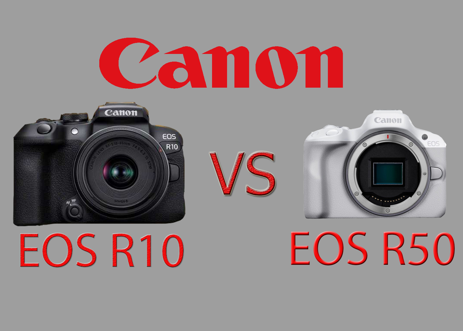 Canon EOS R50 vs R10 - что купить? смотреть онлайн