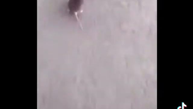 Русь какой-то китай смотреть онлайн