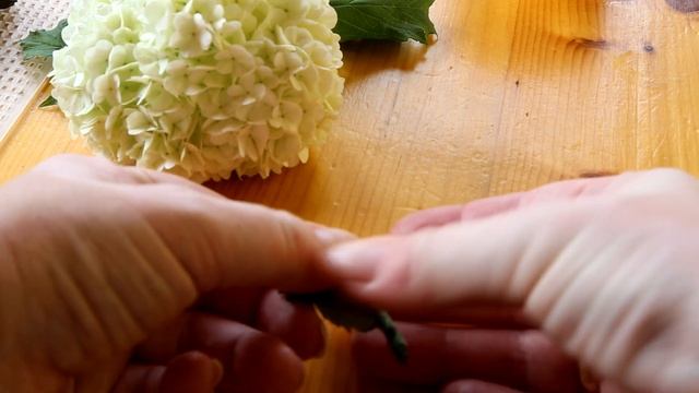 Фотография Архитектуры