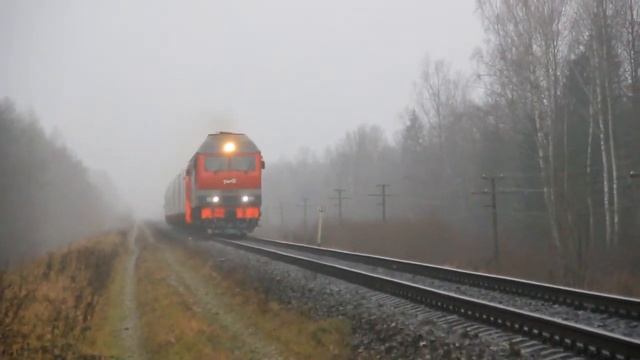 Поезд "Ласточка" Псков-Спб. 260-ый км. 17.11.2019 смотреть онлайн