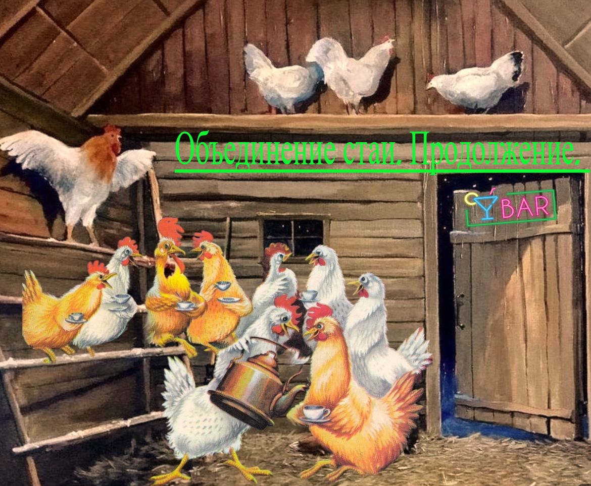 Продолжение про объединение кур. Ответы на вопросы. И решение о судьбе всей стаи в зимний период смотреть онлайн