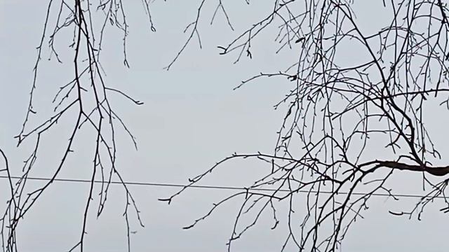 Cessna 172 Skyhawk Nadezhkas aviation 16 смотреть онлайн