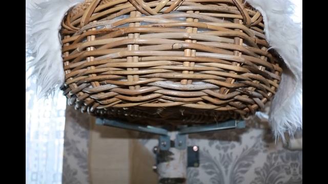 Роза.Шпалера для розы.Бесплатно.Огород Баварский. смотреть онлайн