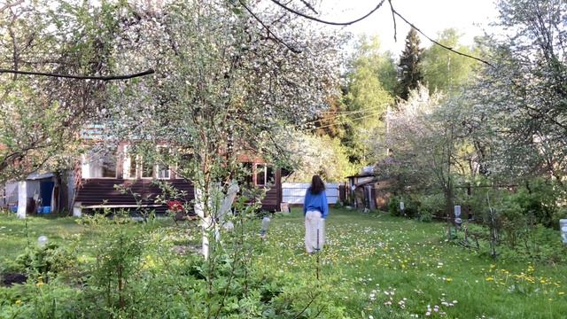 Тихий влог с дачи. Uncovering The Beauty Of A Russian Dacha: A Silent Vlog #тихийвлог#silentvlog