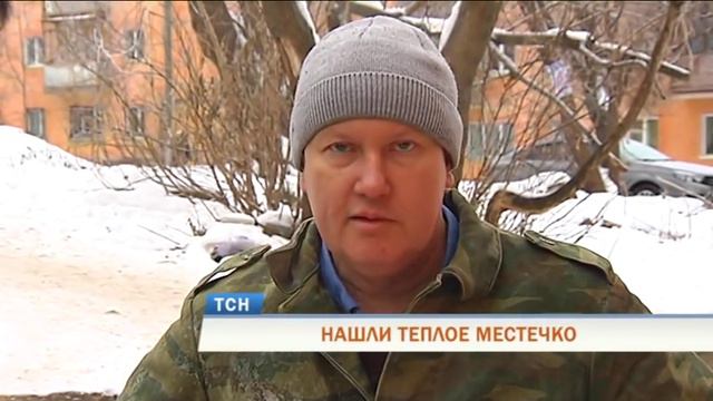 В подвале одного из домов Перми поселились бездомные смотреть онлайн