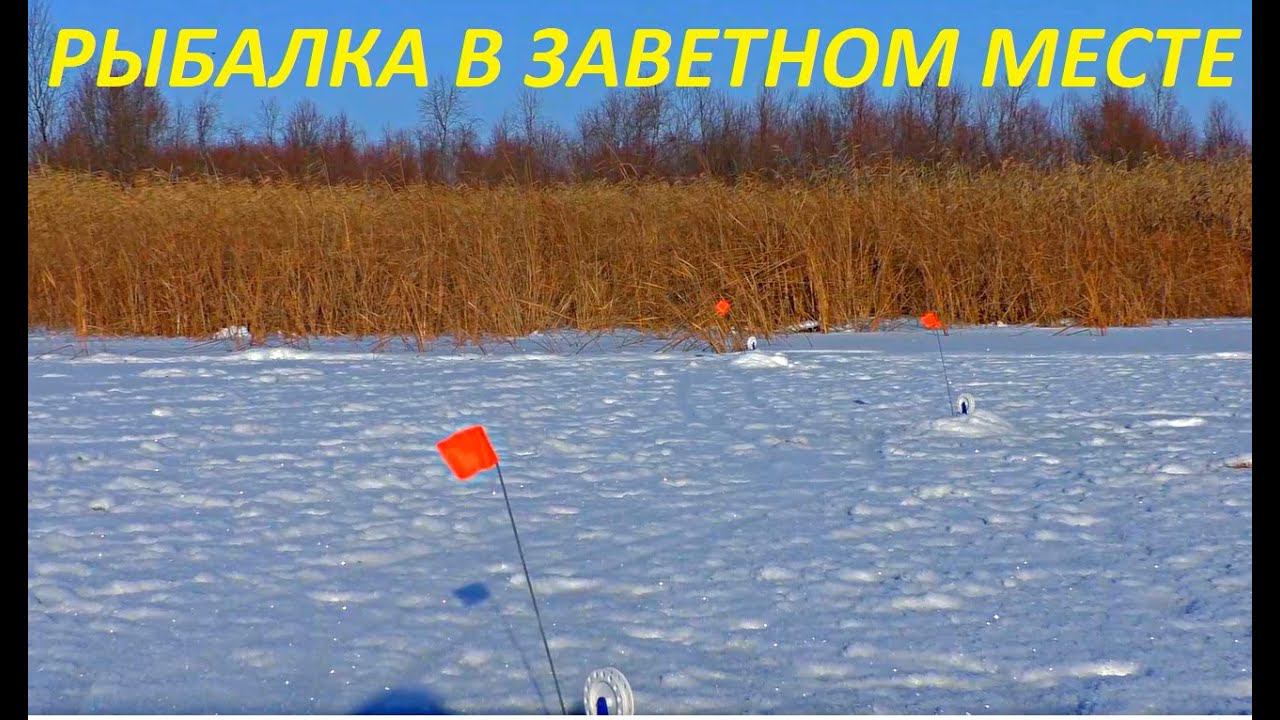 НОВОГОДНЯЯ РЫБАЛКА НА ЖЕРЛИЦЫ!!! ЗАВЕТНЫЕ МЕСТА И ПЕРВЫЕ ТРОФЕИ / MAX HUNTER смотреть онлайн