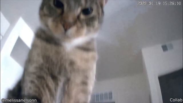 У НЕЁ РЕАЛЬНО ТЯНУТСЯ УШИ!! || Ежедневная Доза Интернета смотреть онлайн