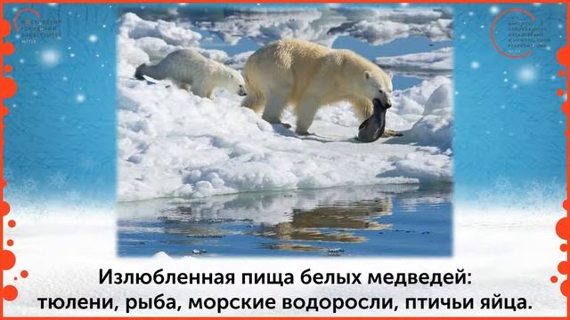 Окружающий мир. 