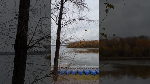 🍁осеннее озеро Сенеж ⛵🍁 смотреть онлайн