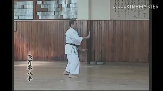 КАТА SUPARINPEI AND BUNKAI / КАРАТЭ ГОДЗЮ РЮ смотреть онлайн