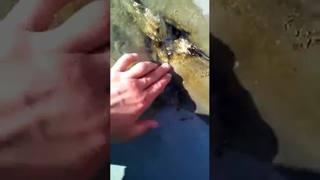 Ремонт крыши, герметизация эпоксидной смолой.