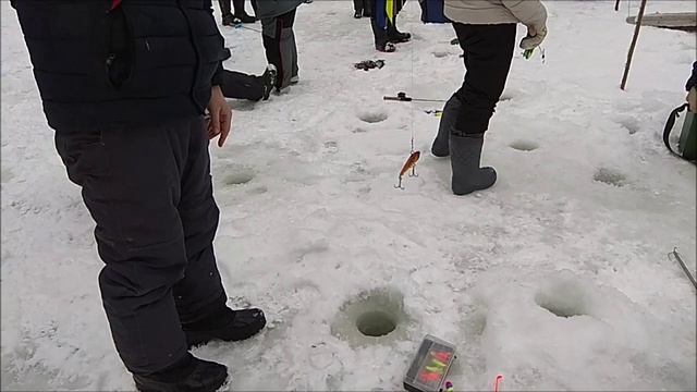 На запуске хорошо работают раттлины. Клёвое место, Лосиный остров, верхний водоём. смотреть онлайн