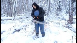 Деревня в эпизодах #20. Бензопила Зубр. Отзывы, обзор, работа в зимнем лесу
