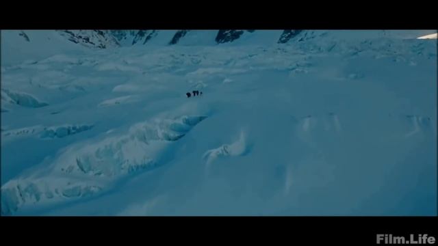 ТОП 10 Лучших Фильмов про Собак