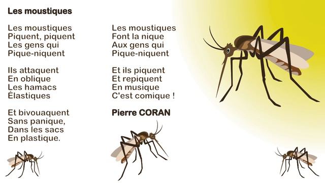 Les Moustiques De Pierre Coran