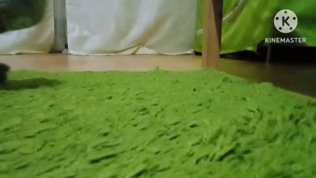 Плюшевый зомби чёрные пчëлы смотреть онлайн