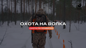 Охота на волка / Охота по правилам / Выпуск 24