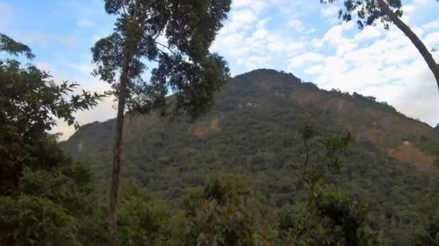 Забег через остров Илья Гранде к океану смотреть онлайн