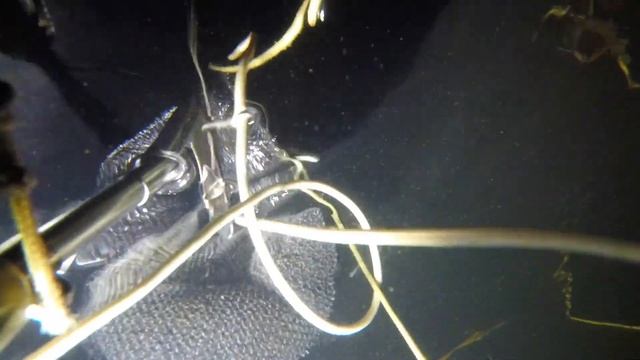 Подводная охота река Снов.Нашел затопленный дом под водой. смотреть онлайн
