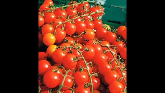 НЕ РАСТУТ ПОМИДОРЫ? ДЕДОВСКИЙ РЕЦЕПТ ДЛЯ ВЫРАЩИВАНИЯ ТОМАТОВ! ПОМИДОРЫ ПОПРУТ КАК НЕНОРМАЛЬНЫЕ! смотреть онлайн