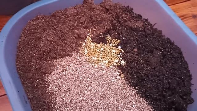 МОЙ ПОЧВОГРУНТ ДЛЯ ПЕЛАРГОНИИ смотреть онлайн