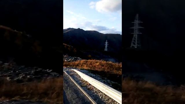 Нашествие клопов в горном алтае смотреть онлайн