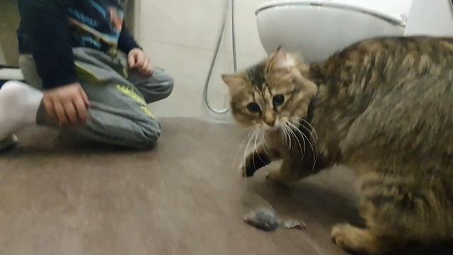 Ваське 2 года! смотреть онлайн