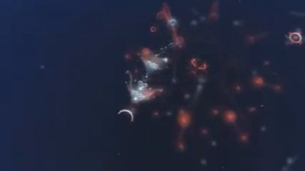 flow-game-trailer-1.flv