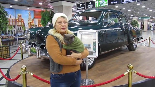 Кот Плюша и его жизнь, ноябрь 2020 смотреть онлайн