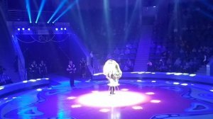 Медведи в цирке