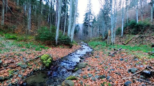 Отец поставил камеру в палате угасающего сына и уехал в рейс. А едва увидел запись оцепенел! смотреть онлайн