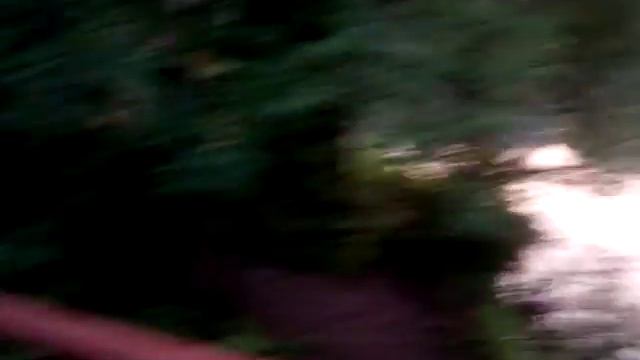 Метро Волжская, ПКиО Кузьминки, парк Двенадцати лучей, Кузьминские пруды, река Чурилиха 13/21 смотреть онлайн